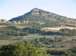 http://img49.xooimage.com/files/3/b/e/l-oliveraie-de-champtercier-1c5b3e3.jpg