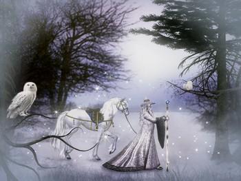 http://img49.xooimage.com/files/5/3/9/florabelleimagechevalblanc-17e5ed9.jpg