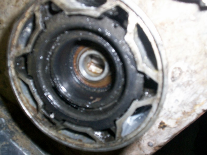 100_2062-9cc944.jpg