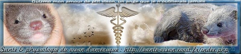 Référence santé & physiologie du vison d'Amérique Forum Index