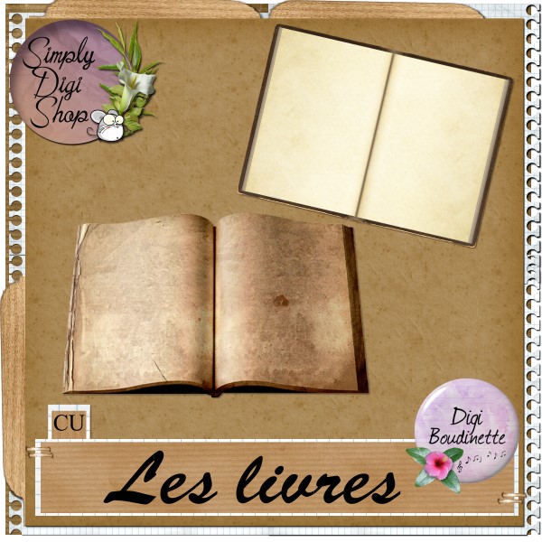 http://img49.xooimage.com/files/6/9/e/boudinette_livrecu_pv-17b5109.jpg