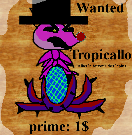 Rien d'autre que ma galerie... Tropicallocolor--321dd5-9a3adb