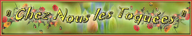 Chez Nous les Toquées Forum Index