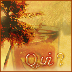 Qui est en ligne ?