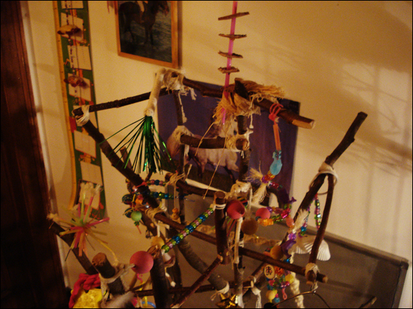 Image: dsc02775-7f5226.jpg