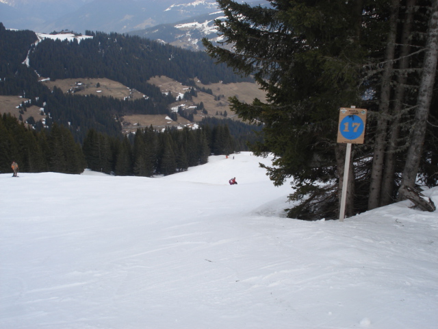 Chevreuil / Megève Jaillet Dsc03891-8563c7