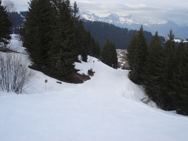 Moineau / Megève Jaillet Dsc03892-8c94e0
