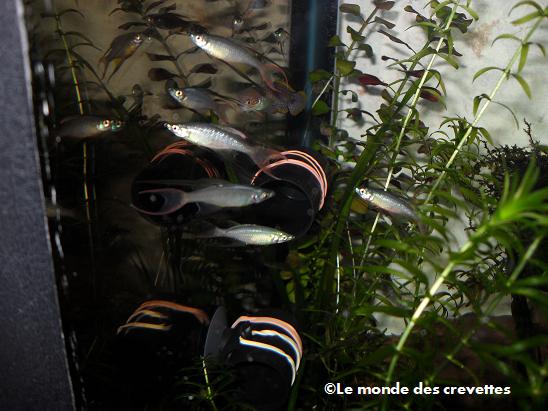 Image: 20091101_56-14d51ce.jpg