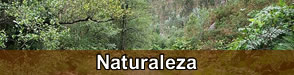 Naturaleza
