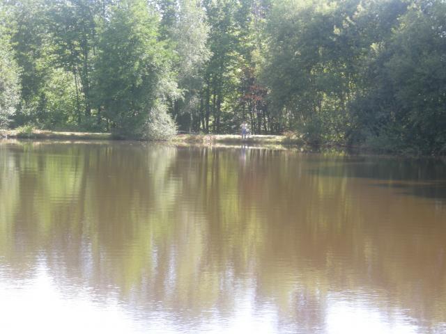 Pêche en haute vienne, la bénéchie ( cussac, chalut) Photo-343-121f5cf