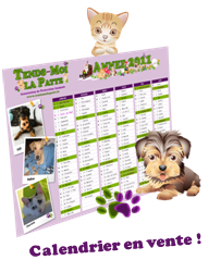 Calendrier association protection animale