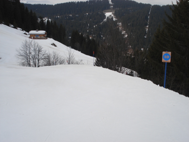 Chevreuil / Megève Jaillet Dsc03909-856446