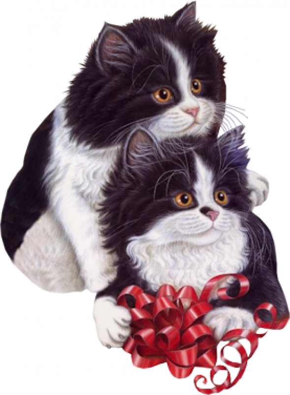 http://img49.xooimage.com/files/d/d/4/xduyu27s-1ad908d.png